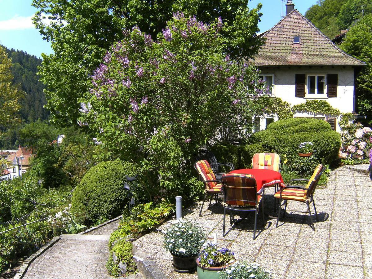 Apartment Maier-2 By Interhome Triberg im Schwarzwald ภายนอก รูปภาพ